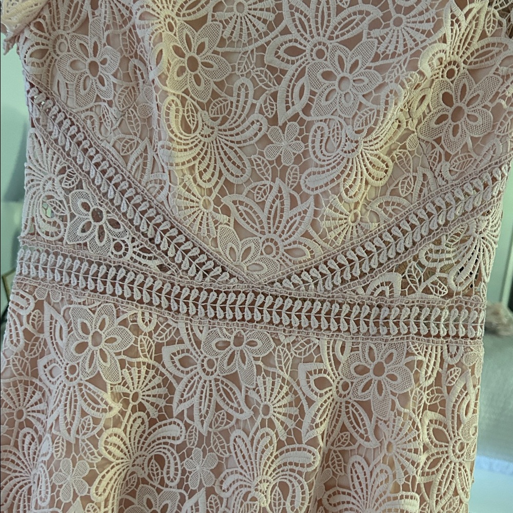 Monique Lhuillier Blush Lace Midi Dress - Picture 2 of 5